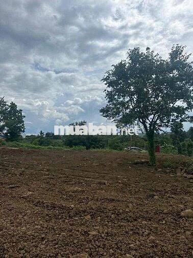 Đất Thổ cư cao tiền - Còn 1 lô *** bìa riêng ít tiền - Mặt tiền Đ