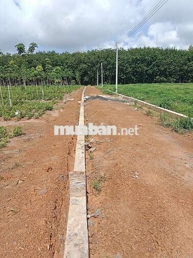 Chính chủ bán gấp đất 5x60m, sổ hồng riêng, thổ cư sẵn, cách chợ 500m
