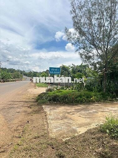 BÁN 1,8 Sào - Hẻm Cấp 1 - Đường Tĩnh Lộ 5 - 68m mặt tiền đường Nhà nướ
