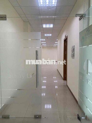 o thuê Mặt bằng làm văn phòng kinh doanh tầng 1 tòa nhà lớn