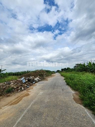 Đất khu phân lô  Đồng Hải – An Hưng (cũ), Hải Phòng