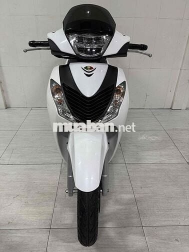 Sh 150 abs 2022