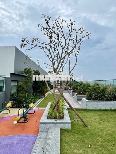Chính Chủ Cần Bán Căn 2 Ngủ View Đẹp CĐT MasteriseHome Full Nội Thất
