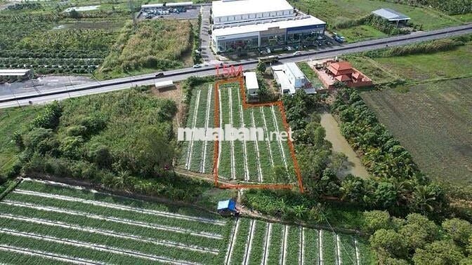 CẦN BÁN ~2,2 CÔNG ĐẤT MẶT TIỀN TUYẾN TRÁNH QL1A- PHƯỜNG LONG CHÂU, VL