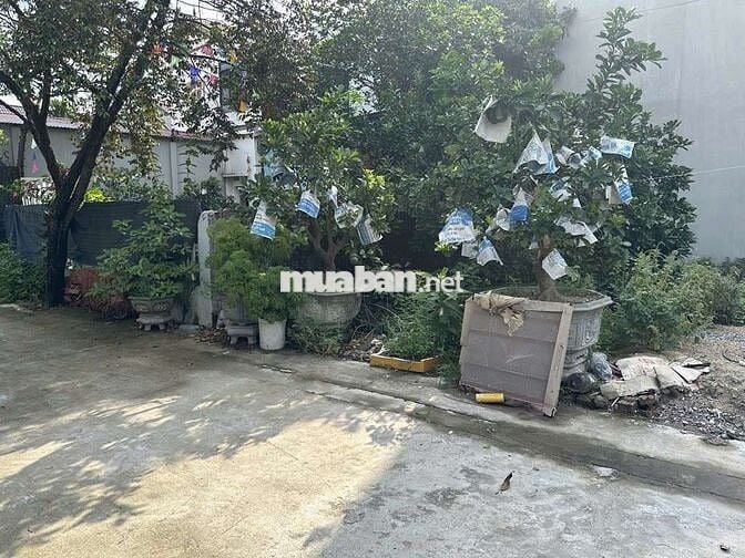 Đất 50m, nhà 1 tầng ,mặt 5m,dài 10, đường trước rộng 6m 2 ô tô tránh