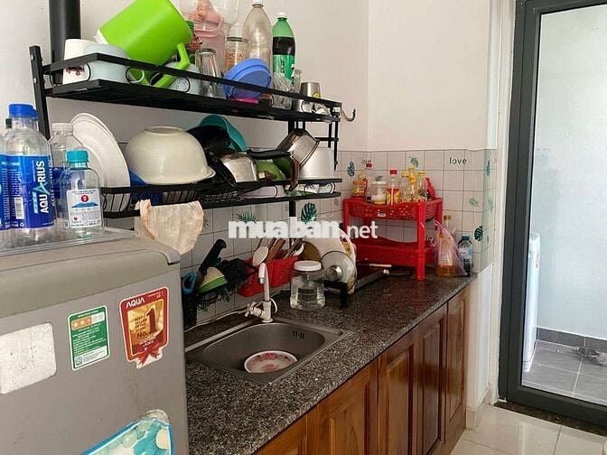Cho thuê căn hộ ecohome nhơn bình