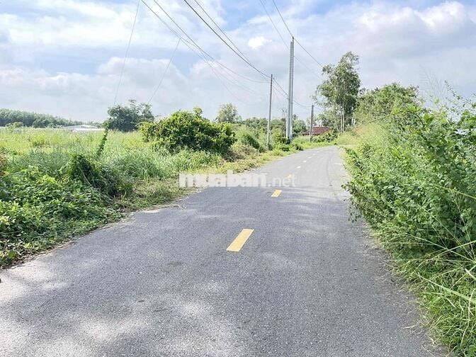 PHƯỚC HẢI , BÀ RỊA VŨNG TẦU  BÂY GIỜ ĐÃ NHẬP VÀO THÀNH PHỐ HỒ CHÍ MINH