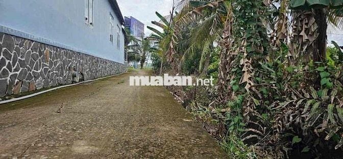 1.900m2 đất trong đó có 600m2 thổ cư có sẵn nhà cấp 4 đường xe hơi