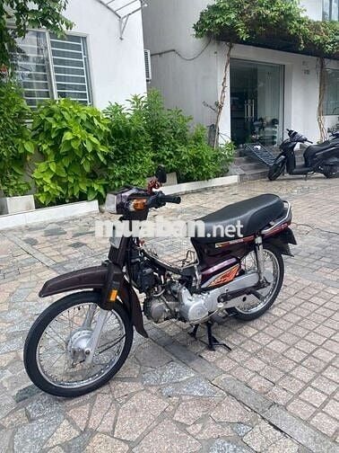 Xe dream Hàn Quốc bstp