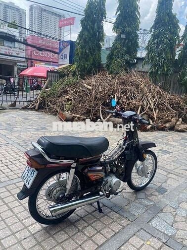 Xe dream Hàn Quốc bstp