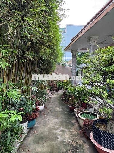 Phòng trọ cho thuê xanh mát yên tĩnh