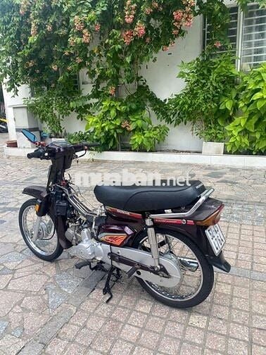 Xe dream Hàn Quốc bstp
