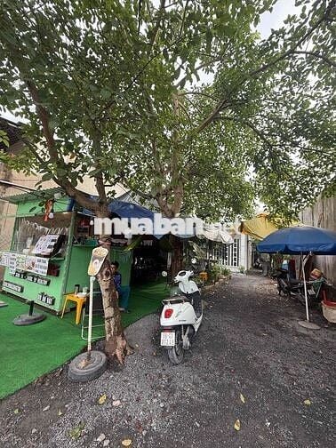 Do không có người bán nên cần sang nhanh lại quán cf sinh tố
