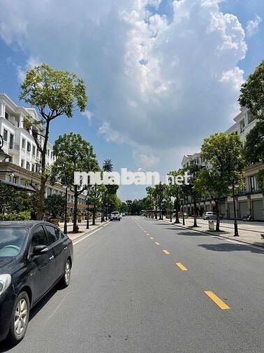 BÁN TMDV HẢI ÂU TẠI VINHOMES OCEAN PARK GIA LÂM