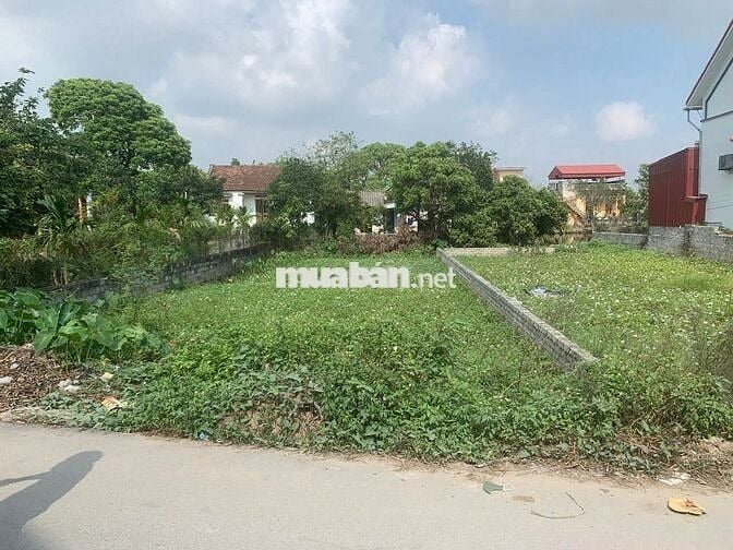 CHỦ CẦN BÁN  tại thôn Đan Tràng, Xã Hồng Quang, Huyện Ân Thi, Hưng Yên