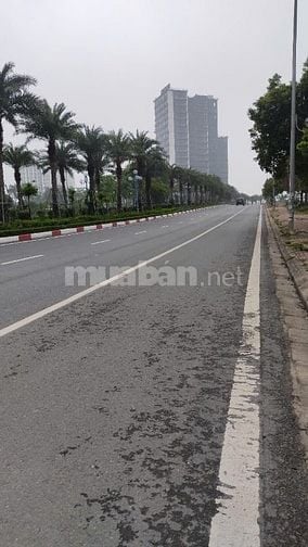 Bán mảnh đất giá đầu tư, Phú Thượng, Tây Hồ, DT: 56m2, MT: 4,5m, ô tô 