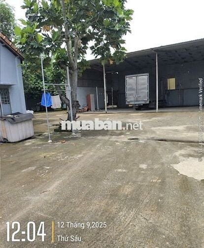 500m2 Mặt tiền KD Quốc Lộ 22, Tân Phú Trung, có sẵn Văn phòng, Nhà kho