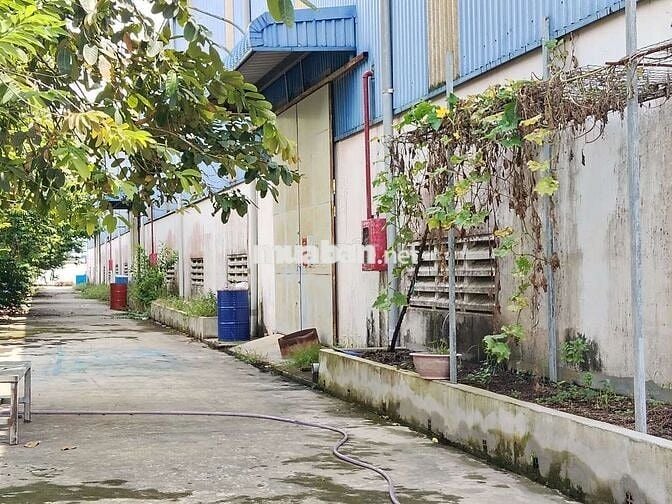 Xưởng cho thuê trong KCN Tân Phú Trung củ Chi sản xuất đa ngành