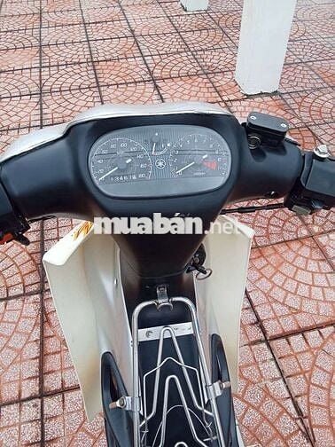 Yaz thanh lí một chỗ chính chủ