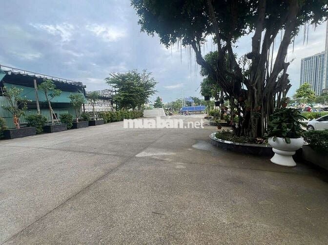 CHO THUÊ TÒA NHÀ VĂN PHÒNG HIỆN ĐẠI VỪA MỚI HOÀN THIỆN