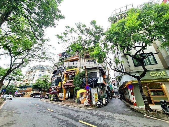 Nguyên Hồng - Hàng xóm Mặt phố - Ô tô tránh vỉa hè - kinh doamh đỉnh