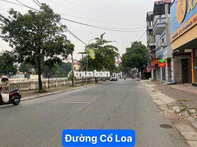 CẦN BÁN NHANH LÔ ĐẤT 52M XÓM VANG CỔ LOA ĐÔNG ANH HN ĐƯỜNG ÔTÔ THÔNG G