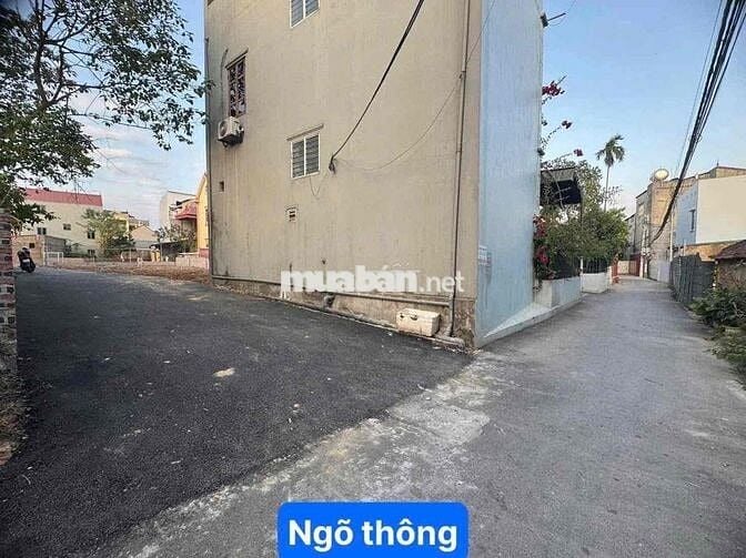 CẦN BÁN NHANH LÔ ĐẤT 52M XÓM VANG CỔ LOA ĐÔNG ANH HN ĐƯỜNG ÔTÔ THÔNG G