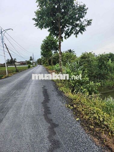bán đất nền thổ cư ngay đường 877C