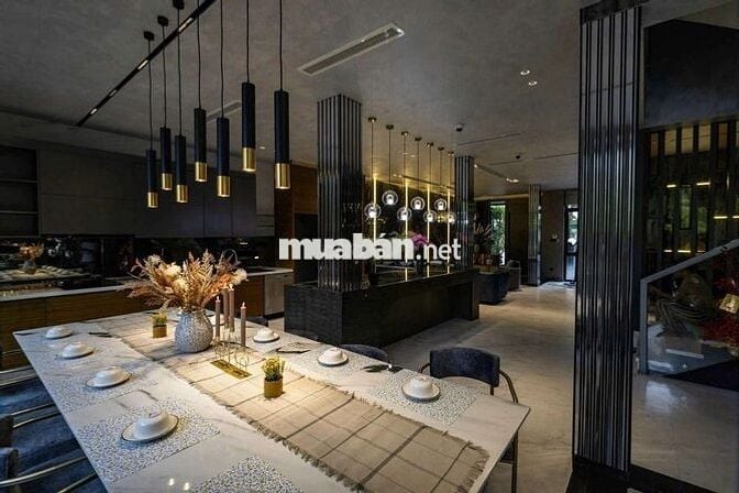 🍃Cho Thuê Biệt Thự Xịn Sò Phú Mỹ Hưng Quận 7