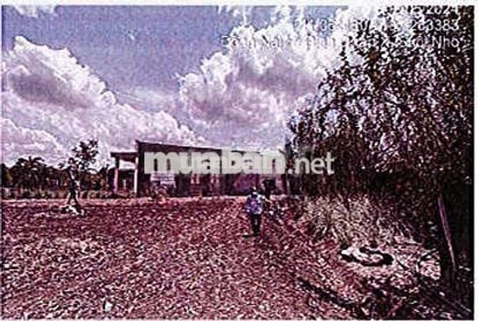 Bán ĐGTS đất tại TĐ số: 359, xã Xuân Bắc, tỉnh Đồng Nai