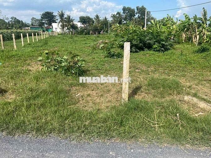 bán đất nền thổ cư ngay đường 877C