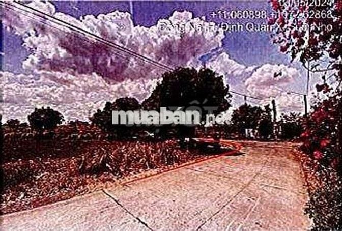 Bán ĐGTS đất tại TĐ số: 358, xã Xuân Bắc, tỉnh Đồng Nai