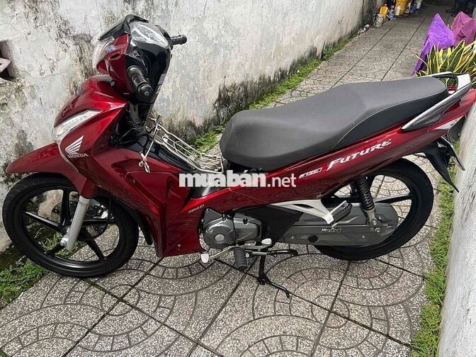 fuled bs65 zin cực đẹp