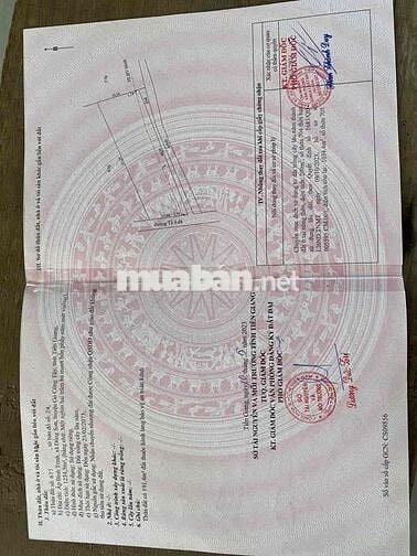 bán đất nền thổ cư ngay đường 877C