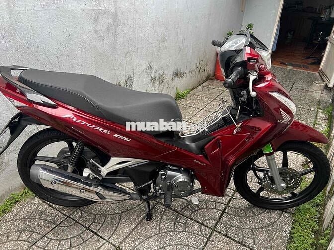 fuled bs65 zin cực đẹp