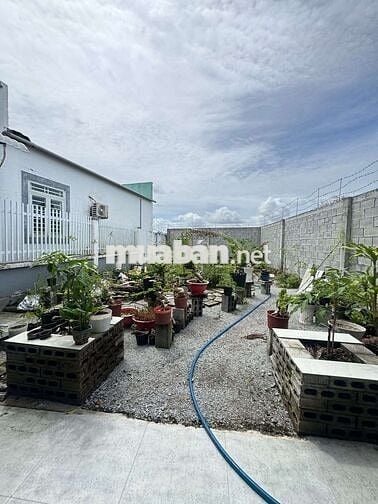 🌟 Anh Long Bán Nhà Vườn Cấp 4 Siêu Đẹp– Gần Chợ, Giá 1Tỷ050Tr