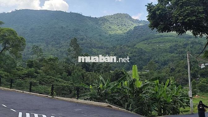🔥 43 Lô Nghỉ Dưỡng Phú Mãn – View Núi Suối – Hàng Hiếm Hòa Lạc 🔥
📍
