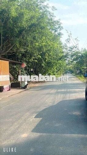 🌟 Bán đất Phú An – Đường nhựa 7m, sát trường học, giá chỉ 2 tỷ 150 🌟