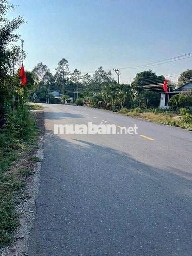 Lô đất sào có sẵn thổ cư, 1055,1m2 giá 725tr SHR, Bình Dương.