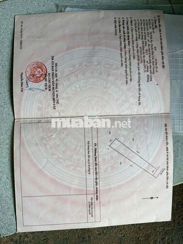 nhà phú an .6 x 42 . đường pê tông.100m thổ cư