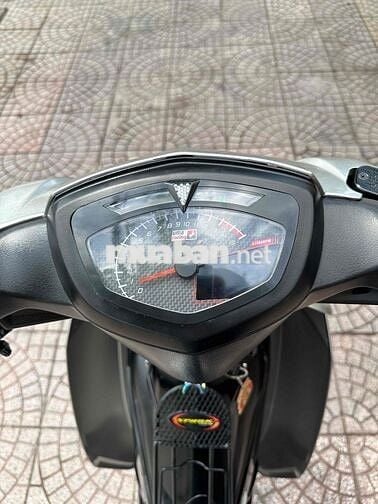 sirius 2022 kiểng vĩnh long