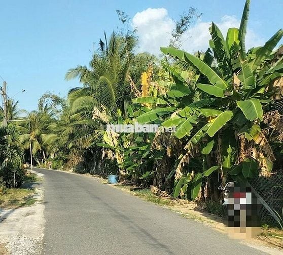 ĐẤT THỔ CƯ 381m2 đường Võ Văn Hoài, Vĩnh Thành, Châu Thành, An Giang