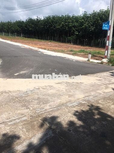 Đất Sào kp7 Tân Khai, Hớn Quản,Bình Phước