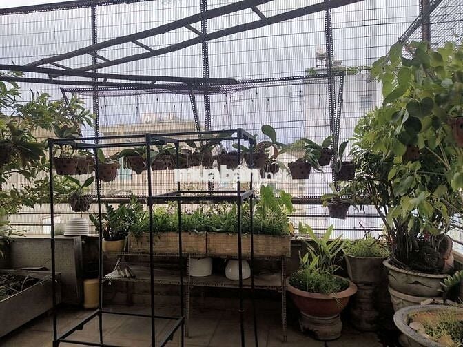 Nhà 3 Tầng sát Mặt Tiền Đường Số 11 Linh Xuân DT 54m 3PN 3WC Hoàn Công