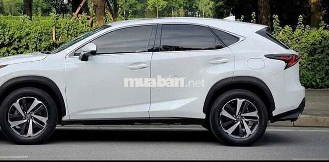 Lexus NX300 2019 màu trắng-5v