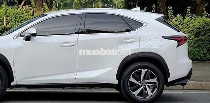 Lexus NX300 2019 màu trắng-5v