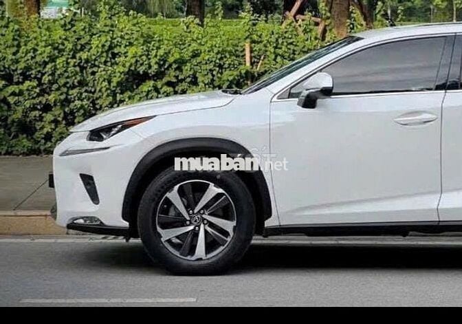 Lexus NX300 2019 màu trắng-5v
