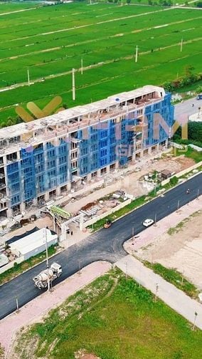 Hàng hiếm tại Tỉnh lộ 286, Đông Phong, Yên Phong, Bắc Ninh, 30 triệu/m