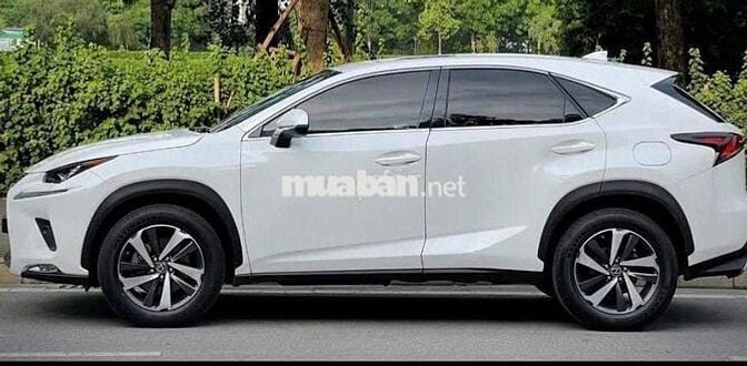 Lexus NX300 2019 màu trắng-5v