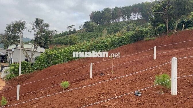 HÀNG HIẾM MÊ LINH VEN ĐÀ LẠT 230m2  sổ riêng thổ cư chỉ 750 triệu